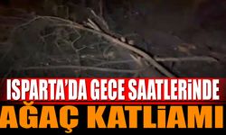 Isparta'da gece yarısı ağaç katliamı