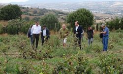 Avustralya’da Emekli Oldu, Memleketi Isparta’da “Süper Meyve” Aronya Üretimine Başladı