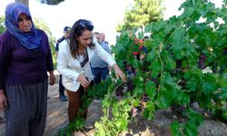 Burdur Valisi Bilgihan, üreticilerle Kemer’de buluştu