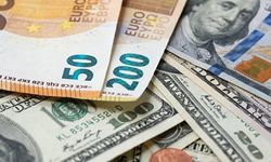 Resmi Gazete'de yayımlandı: Döviz dönüşüm desteği uzatıldı