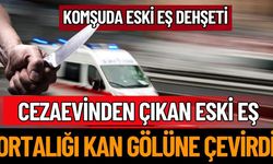 Cezaevinden Çıkan Eski Eş Kan Döküldü