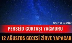 Perseid Göktaşı Yağmuru 12 Ağustos Gecesi Zirve Yapacak