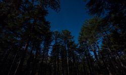 Isparta Melikler Yaylası’nda Perseid Meteor Yağmuru İzlendi