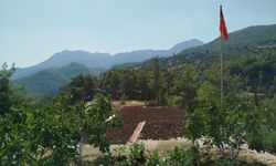 Isparta Orman Bölge Müdürü Bucak’ta Çalışmaları İnceledi