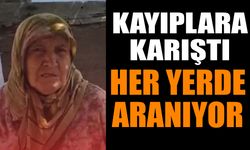 Kayıplara karışan yaşlı kadın her yerde aranıyor