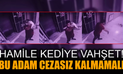 Konya’da Hamile Kediye Şiddet!