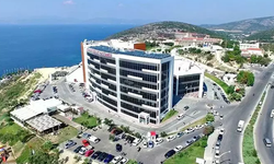 Kuşadası'nda Şok İddia: Doktor Para Karşılığı Bebek mi Kaçırdı?