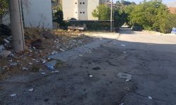 Sav Kasabası’nda Düğün Sonrası Çevre Kirliliği Tepki Çekti