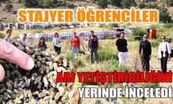 Stajyer öğrenciler arı yetiştiriciliğini yerinde inceledi