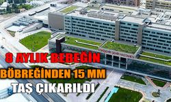 8 Aylık Bebeğin Böbreğinden 15 mm Taş Çıkarıldı