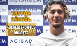 Tayfur Bingöl, Kocaelispor’a Transfer Oldu