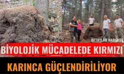Biyolojik Mücadelede Kırmızı Karınca Güçlendiriliyor
