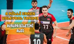 Efeler, Avrupa Biletini Danimarka Zaferiyle Aldı