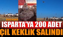Isparta'ya 200 Adet Çil Keklik Salındı
