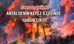 Son Dakika: Antalya Kepez’de Orman Yangını
