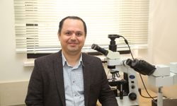 Lenfoma'da kritik uyarı: Bu belirtileri görürseniz dikkat!