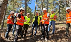 Isparta ormanlarında IKEA’dan tam not