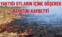 Afyonkarahisar’da Ot Yangını Faciası