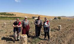 Afyonkarahisar’da Patates Tarlalarında Pestisit Denetimi