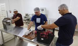 Kurutma Tesisiyle Ejder Meyvesi Değere Dönüşüyor