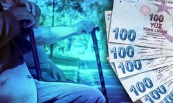 Tamamlayıcı Emeklilik Sistemi’nde Sona Gelindi