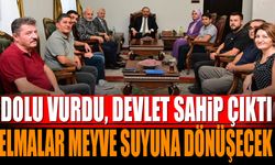 Dolu Vurdu, Devlet Sahip Çıktı: Elmalar Meyve Suyuna Dönüşecek