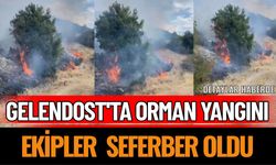 Gelendost'ta Orman Yangını: Ekipler ve Vatandaşlar Seferber Oldu