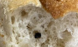 Ekmek Arası Hijyen Tartışması: Hamam Böceğiyle Karşılaştı