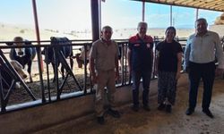 “Uzman Eller” Desteğiyle Hayvan Sayısını İkiye Katladı