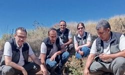 Isparta'da Kızılçam Gençleştirme Çalışmaları Denetlendi