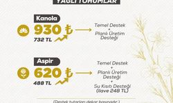 Kanola ve Aspir Üretimine 2026 Yılında Ek Destek