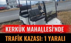 Kerkük Mahallesi'nde Trafik Kazası: 1 Yaralı