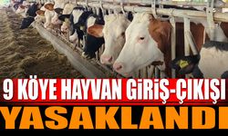 9 köye hayvan giriş çıkışı yasaklandı