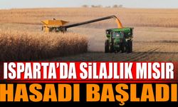 Isparta'da silajlık mısırda bereketli hasat mevsimi başladı