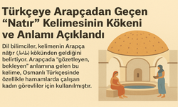Türkçeye Arapçadan Geçen “Natır” Kelimesinin Kökeni ve Anlamı Açıklandı