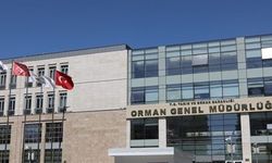 Orman Genel Müdürlüğü 262 Daimi İşçi Alıyor