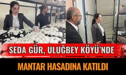 Kaymakam Seda GÜR, Uluğbey Köyü’nde Mantar Hasadına Katıldı