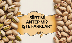 Siirt Fıstığı mı, Antep Fıstığı mı? Boyut, Aroma, Hasat ve Tescil Statüsünde Net Farklar