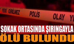 Sokak ortasında şırıngayla ölü bulundu