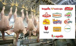 Tavuk Fiyatları Zirve Yaptı: 3,7 Milyar TL Ceza Kesildi!