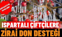Zirai Don Ödemelerine İlişkin Karar Resmi Gazete'de Yayımlandı