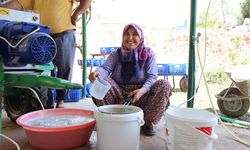 Antalya’da artık pekmez üretimi daha hızlı