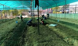 Isparta’da Çiftçiye Beyaz Zambak ve Salep Desteği