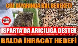 Isparta’da arıcılık güçleniyor:  256 ton bal üretildi