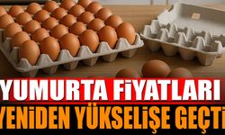 Okullar açıldı yumurta fiyatları yeniden yükselişe geçti