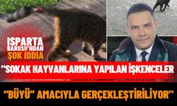 Isparta Barosu’ndan Şok İddia: "Sokak Hayvanlarına Yapılan İşkenceler “Büyü” Amacıyla Gerçekleştiriliyor"