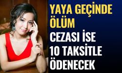 Yaya Geçidinde Ölüm: Sürücüye 30 Bin Lira Ceza