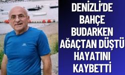 Denizli'de Bahçede Budarken Ağaçtan Düştü: Hayatını Kaybetti