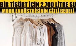Sadece Bir Tişört Üretmek İçin 2700 Litre Su Kullanıldığını Biliyor Musunuz?