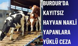 Burdur’da Belgesiz Hayvan Nakli Yapanlara Ceza Uygulandı